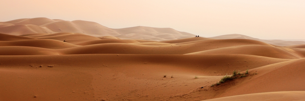 další panorama z pouště