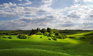 osvícená louka